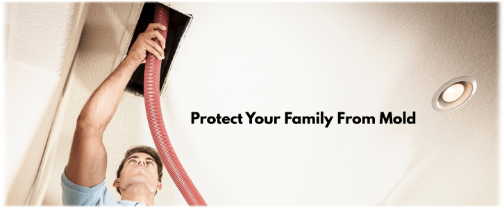 Air Duct Mold Removal in Carrollton TX